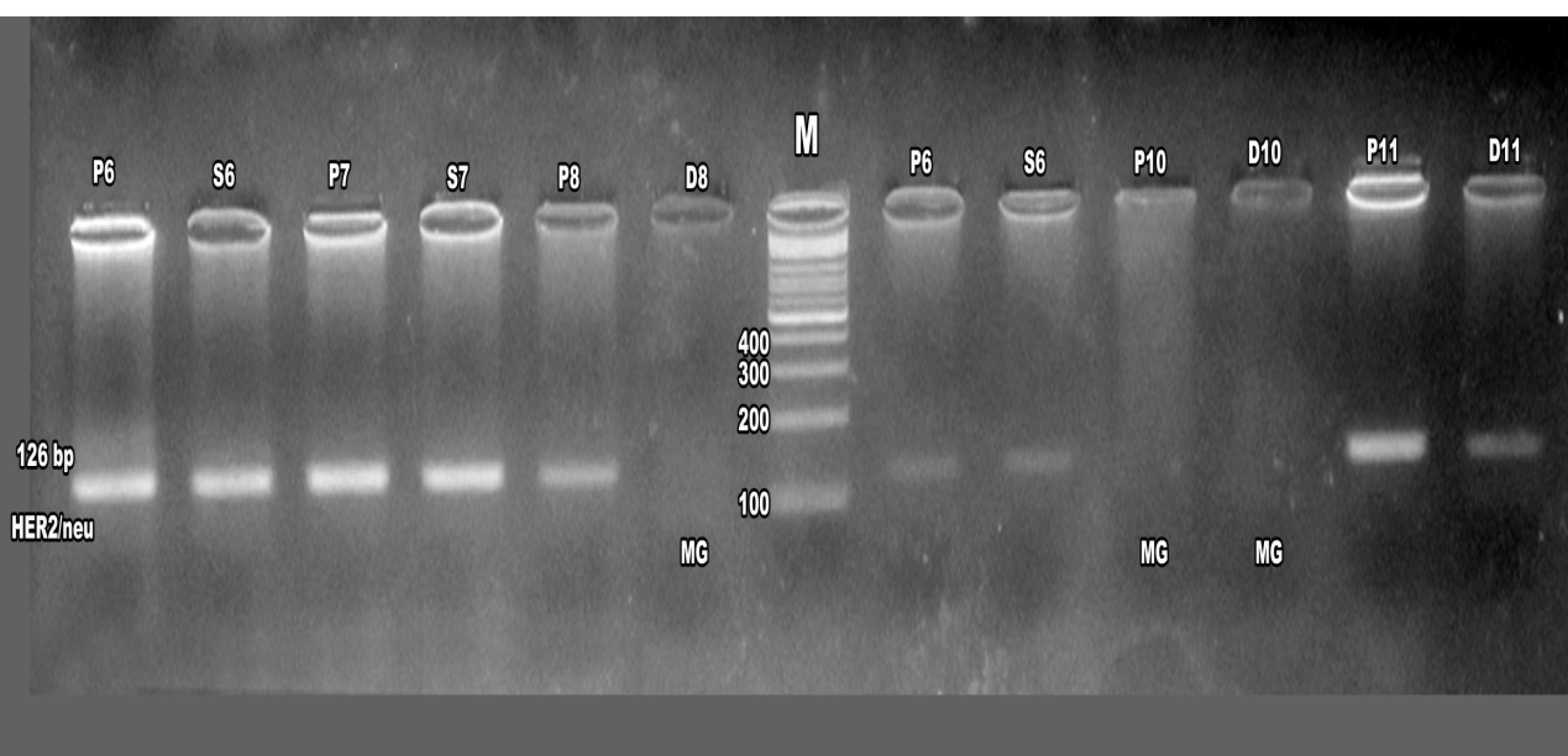 apb-15-637-g006